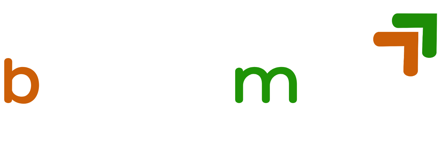BiddingMind